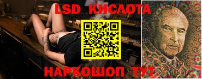 PSILOCYBIN Кинель