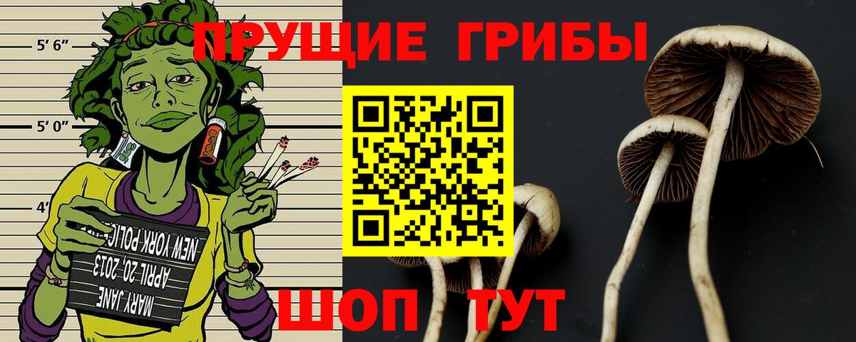 Псилоцибиновые грибы MAGIC MUSHROOMS Заволжье