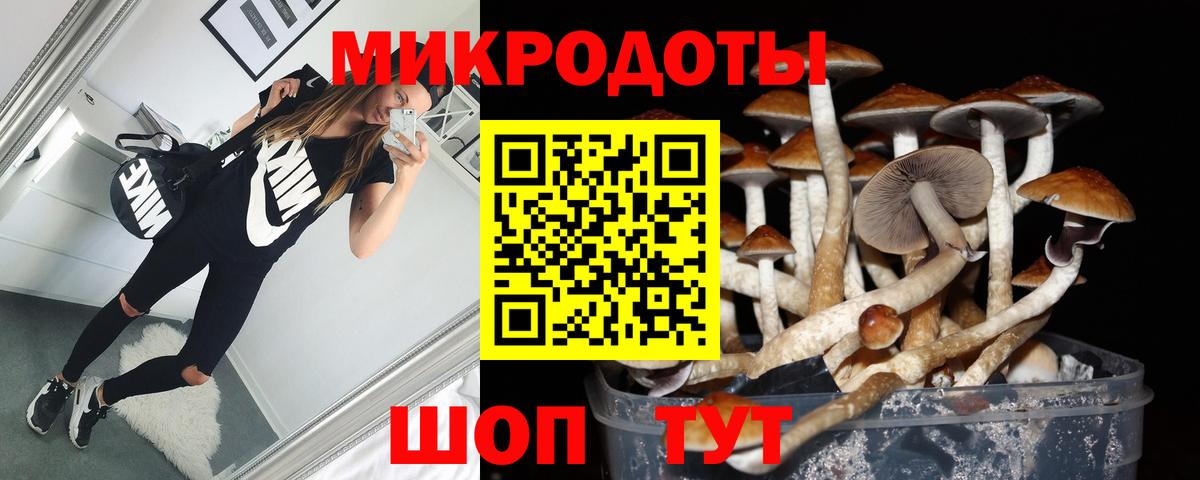 Псилоцибиновые грибы Magic Shrooms  Вход с VPN  Заволжье  Галлюциногенные грибы мухоморы 